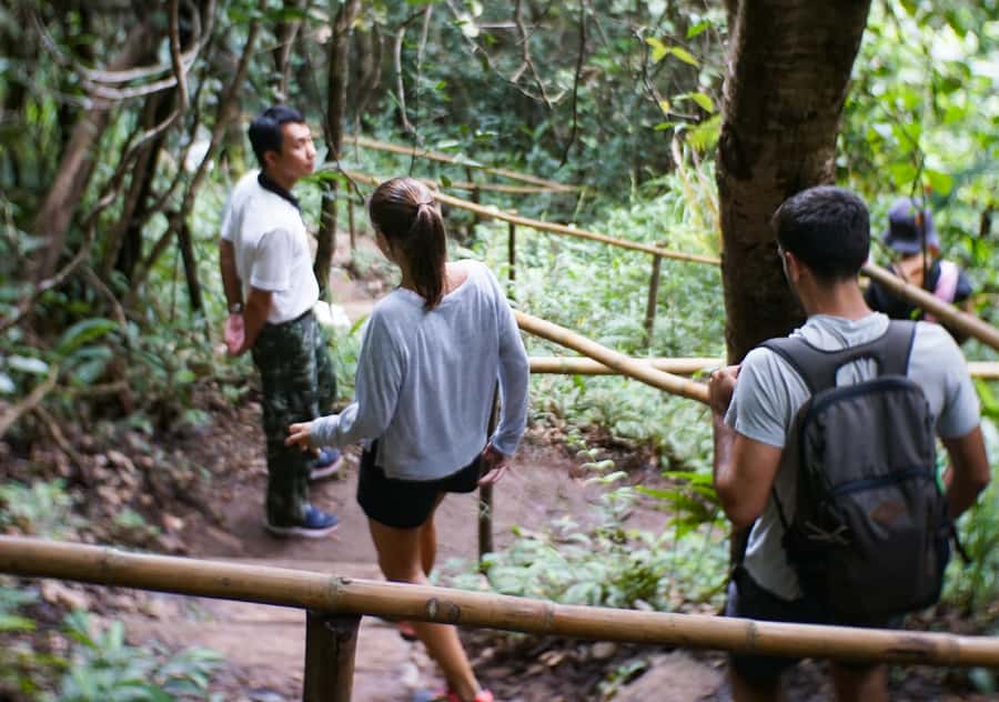 From Chiang Mai: Doi Inthanon National Park Day Trip & Hike - Twin pagodas for the King and Queen: architecture plus meaning