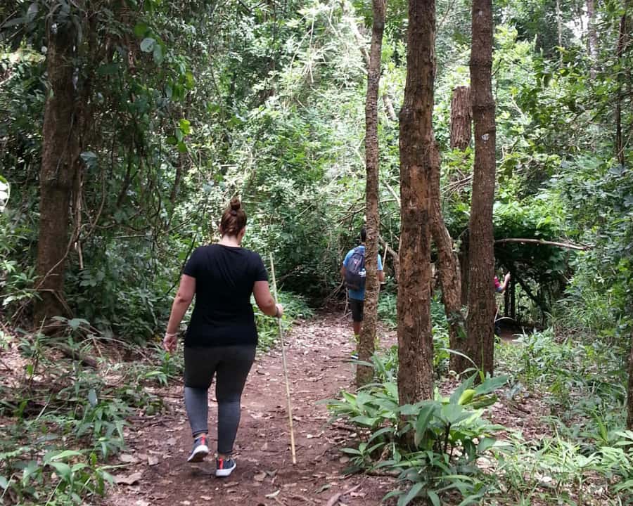 From Chiang Mai: Doi Inthanon National Park Day Trip & Hike - Royal Project lunch at Inthanon: fuel that doesn’t feel like a trap