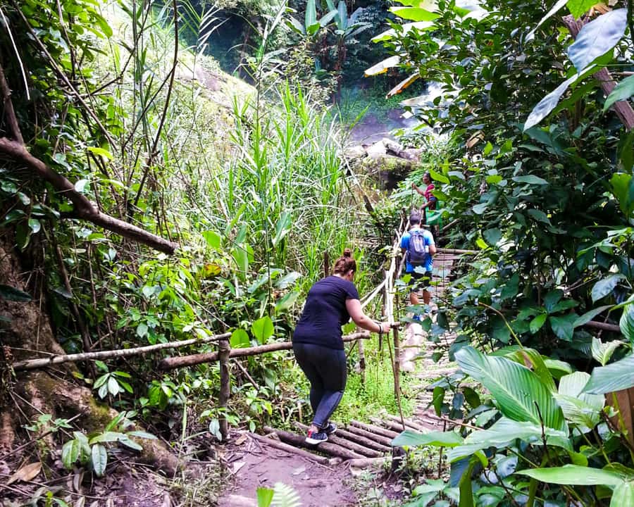 From Chiang Mai: Doi Inthanon National Park Day Trip & Hike - Pha Dok Siew Nature Trail hike: rice terraces and the 2-hour reality check