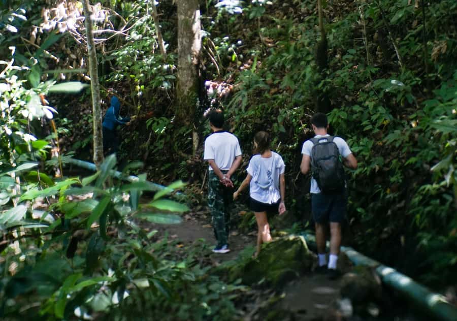 From Chiang Mai: Doi Inthanon National Park Day Trip & Hike - Karen Hill Tribe Village: coffee that feels earned