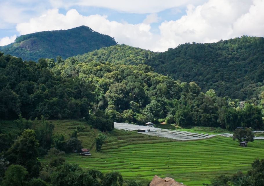 From Chiang Mai: Doi Inthanon National Park Day Trip & Hike - Mae Klang Luang stop: viewpoints plus a calmer beat