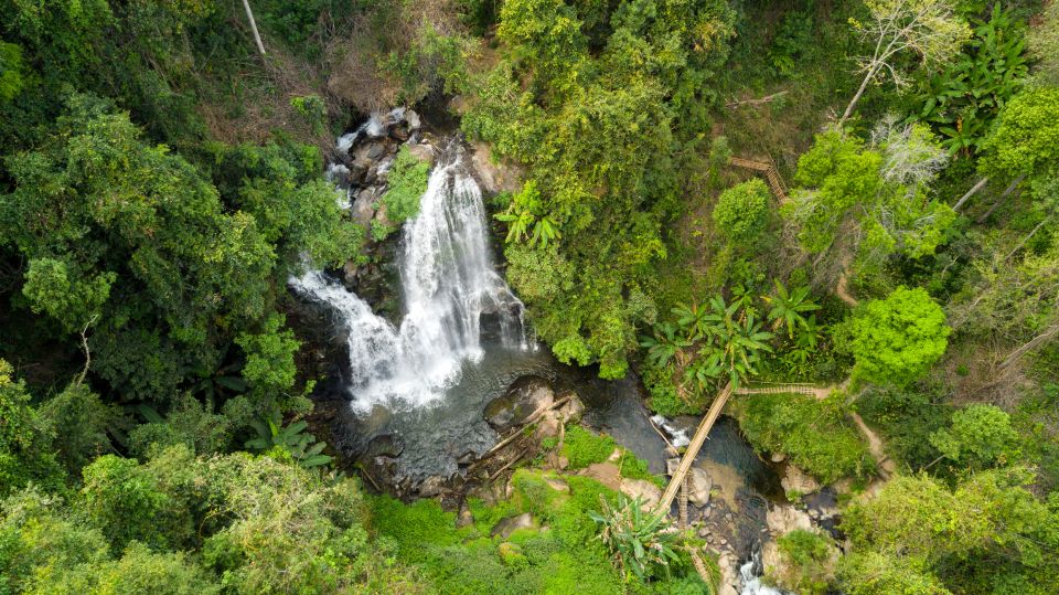 From Chiang Mai: Doi Inthanon National Park Hiking Tour - Wildlife chances: snakes, lizards, and possible gibbon sightings