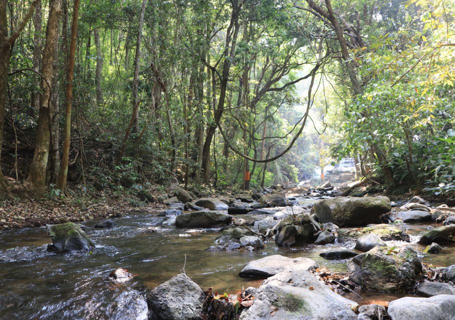 From Chiang Mai: Doi Inthanon National Park Hiking Tour - Pine restoration, shaded valley, and a gentle 4km nature trail