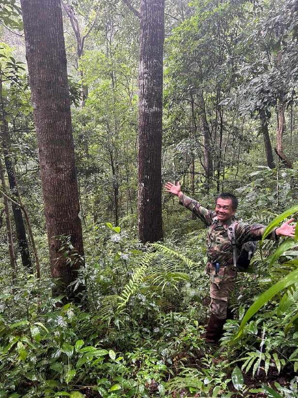 From Chiang Mai: Doi Saket Hiking Tour with Lunch - Quick hits: what makes this Doi Saket hike special