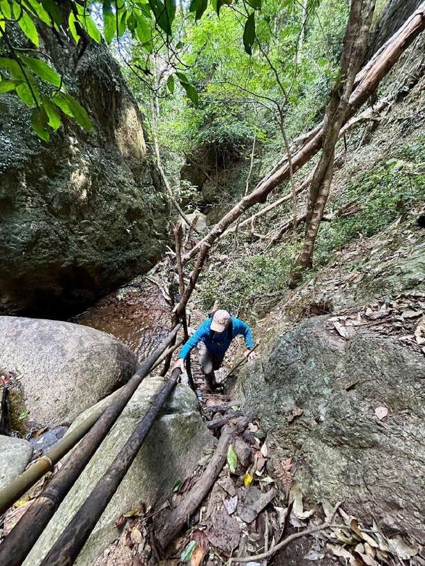 From Chiang Mai: Doi Saket Hiking Tour with Lunch - The end of the day in the village: fruit tasting, tea or coffee, and photos/videos