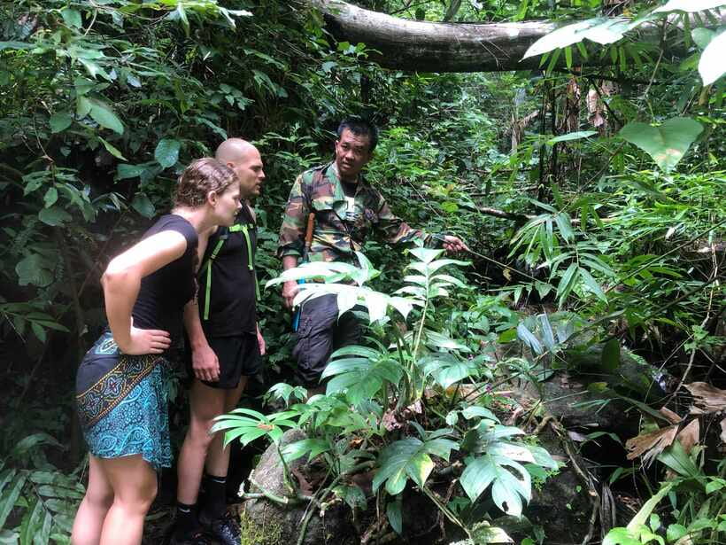 From Chiang Mai: Doi Saket Hiking Tour with Lunch - Starting in the mountain village: herbs, everyday forest life, and why it’s not just hiking
