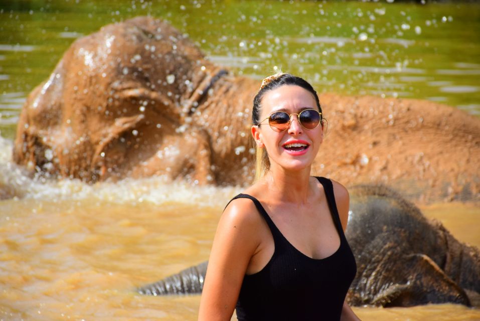 From Chiang Mai: Elephant Care Program and Nursery Tour - The mud pool and bath: the splash you plan for