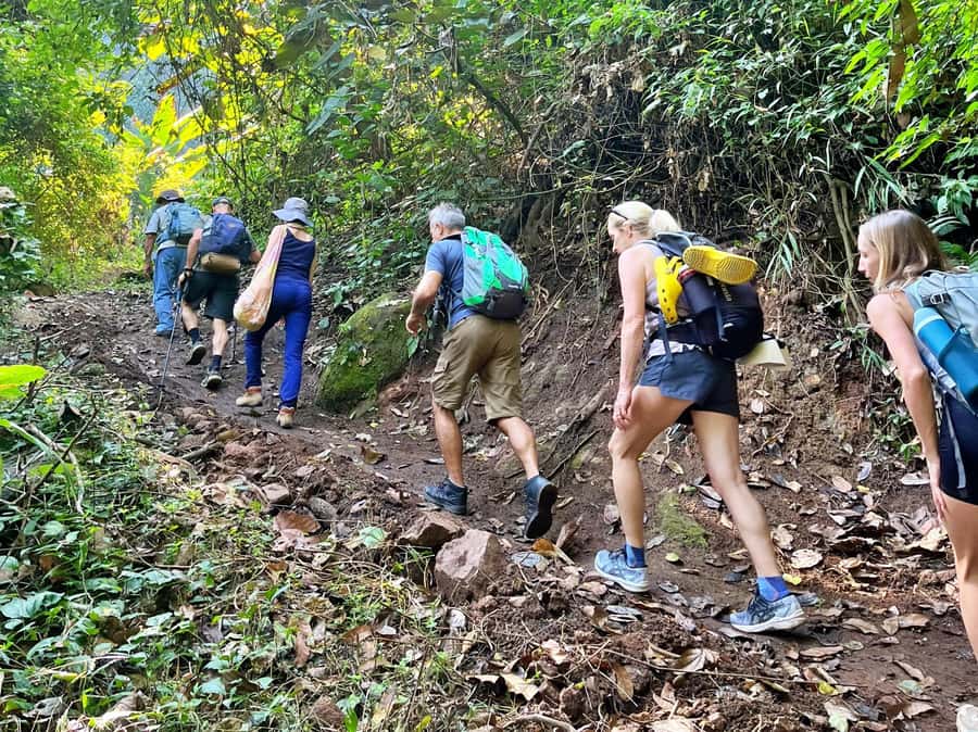 From Chiang Mai: High Mountain Day Trek - Key things that make this trek worth your time