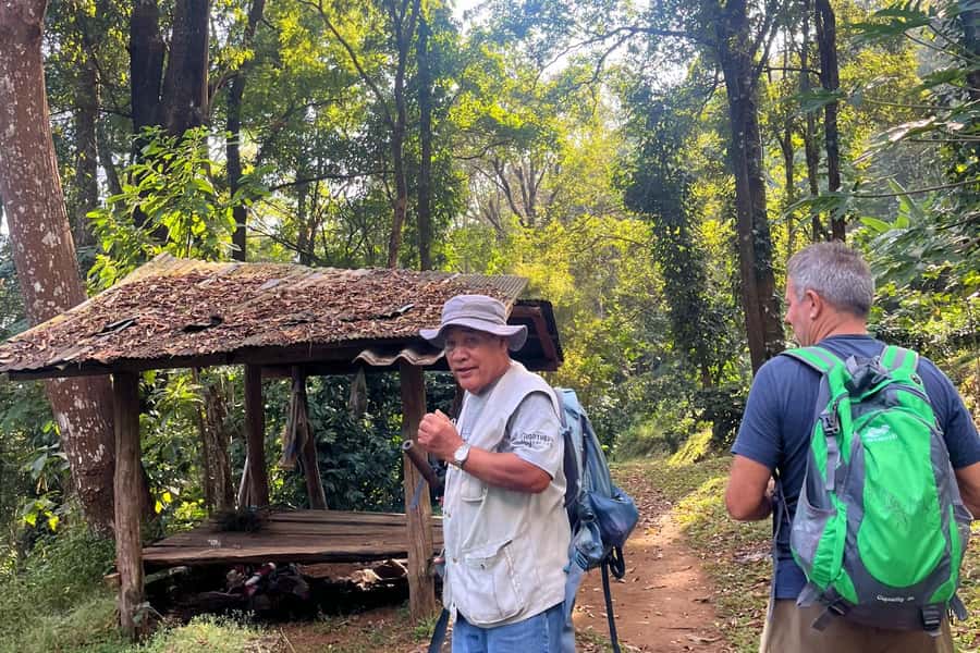 From Chiang Mai: High Mountain Day Trek - What the High Mountain Day Trek Feels Like in Real Life