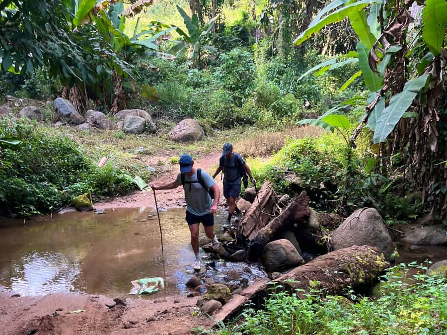 From Chiang Mai: High Mountain Day Trek - The Jungle Hike: Distance, Difficulty, and Trail Conditions