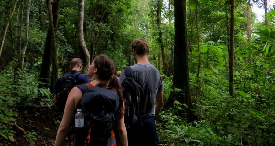 From Chiang Mai: High Mountain Day Trek - The Hike Experience: What Your Guide Actually Adds
