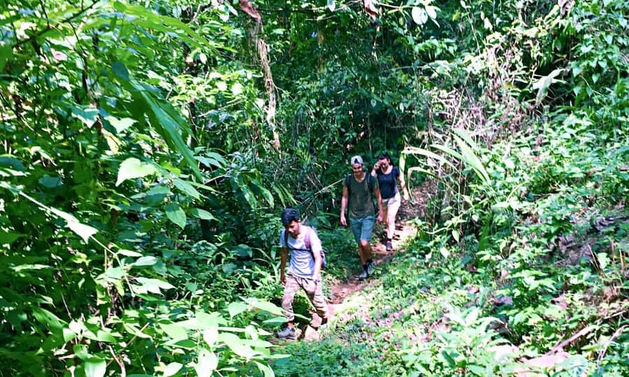 From Chiang Mai: High Mountain Day Trek - Wat Ban Den: A Quick Cultural Stop That Helps the Day Cohere