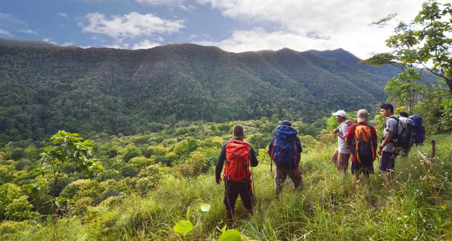 From Chiang Mai: High Mountain Day Trek - Getting From Chiang Mai to the Trail Start Without Stress