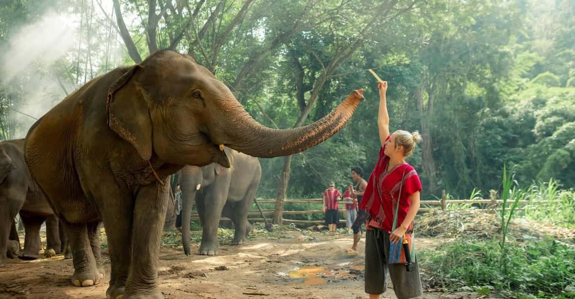 From Chiang Mai: Kerchor Eco Elephant Park Tour - Chiang Mai pickup and the van ride out: plan for the travel time