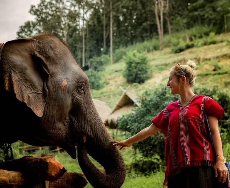 From Chiang Mai: Kerchor Eco Elephant Park Tour - The eco-park orientation: how they explain elephant care