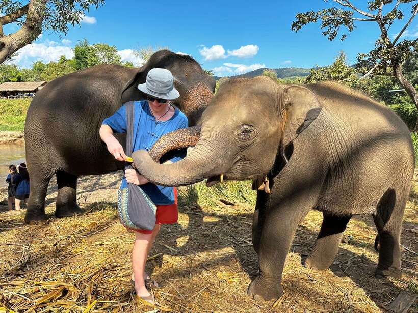 From Chiang Mai: Living Green Elephant Sanctuary Tour - Why This Sanctuary Feels Different Around Chiang Mai