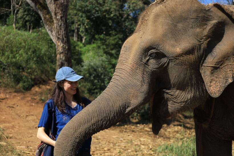 From Chiang Mai: Living Green Elephant Sanctuary Tour - Mo Hom Clothing: Your First Lesson Before You Meet Elephants