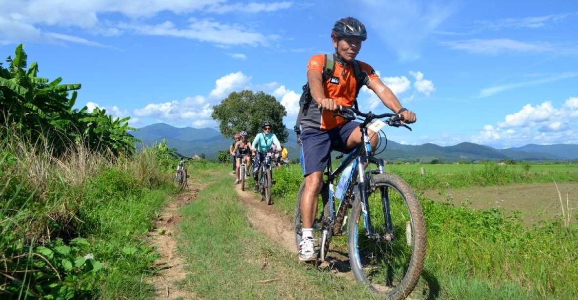 From Chiang Mai: Mae Taeng Valley and Waterfalls Cycle Tour - Getting From Chiang Mai: The Van Ride That Sets the Tone