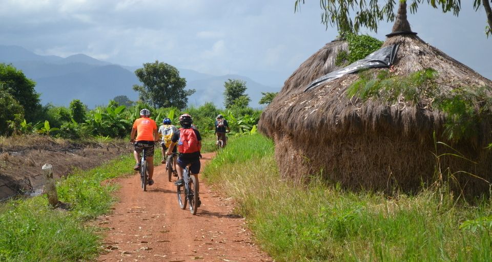 From Chiang Mai: Mae Taeng Valley and Waterfalls Cycle Tour - Rice Farming and Village Stops: Why This Tour Feels Personal