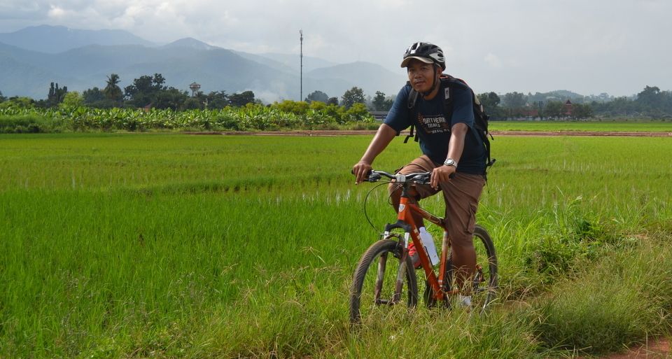 From Chiang Mai: Mae Taeng Valley and Waterfalls Cycle Tour - Lunch in a Tropical Garden: Thai Set Meal With Fruit