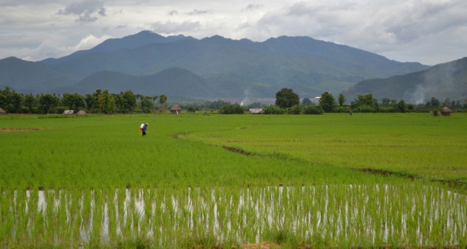 From Chiang Mai: Mae Taeng Valley and Waterfalls Cycle Tour - Transition to the Afternoon: Ride More or Chill