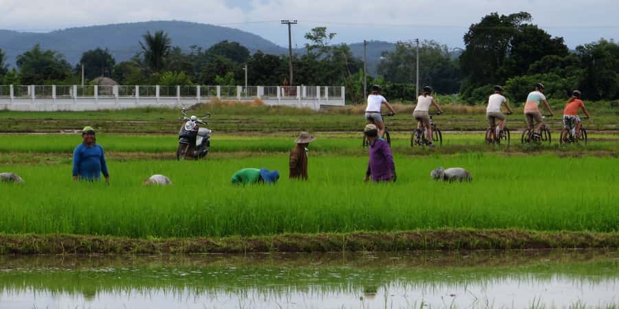 From Chiang Mai: Mae Taeng Valley Hike & Bike Day Trip - Key things that make this day trip worth your time