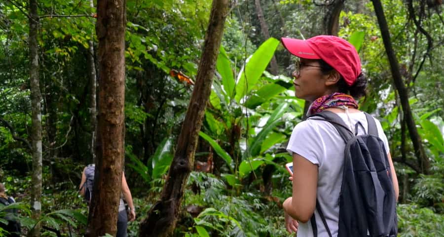 From Chiang Mai: Mae Taeng Valley Hike & Bike Day Trip - The 5 km Village Trail Hike: Real Paths, Real Plants