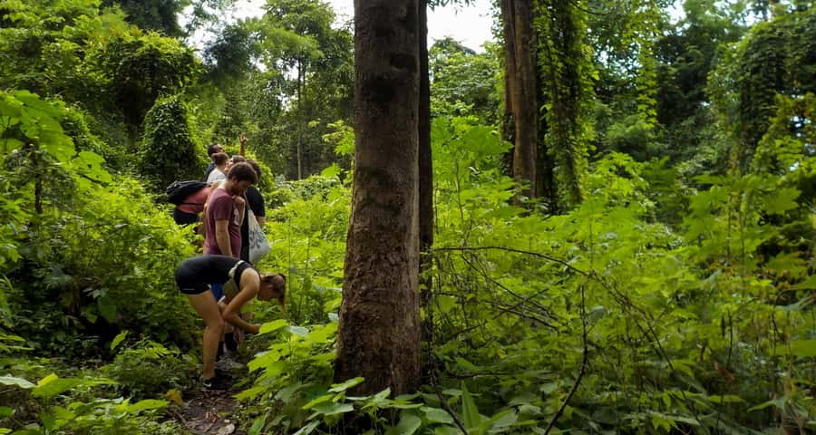From Chiang Mai: Mae Taeng Valley Hike & Bike Day Trip - Wat Ban Den Photo Stop: A Short Temple Pause