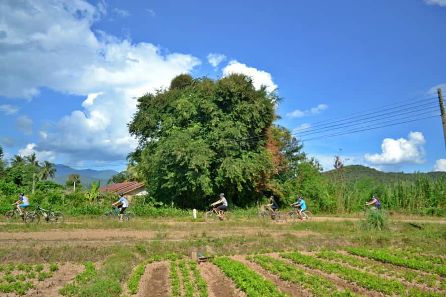 From Chiang Mai: Mae Taeng Valley Hike & Bike Day Trip - Season swaps: When the schedule changes (and how to plan)