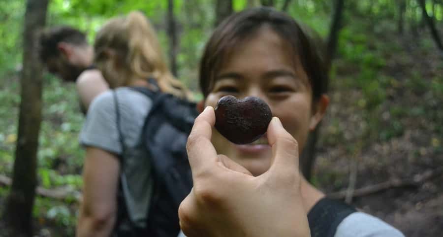From Chiang Mai: Mae Taeng Valley Hike & Bike Day Trip - Getting From Chiang Mai to the Hills: The Covered Truck Ride