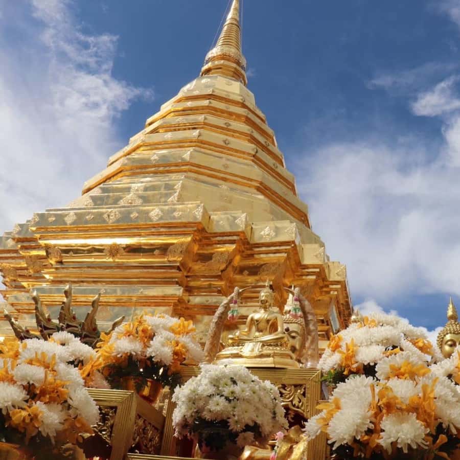 From Chiang Mai: Temples, Sticky Waterfall, and Orchid Farm - Doi Suthep and Wat Phra That: Golden Relics and Real Viewpoints