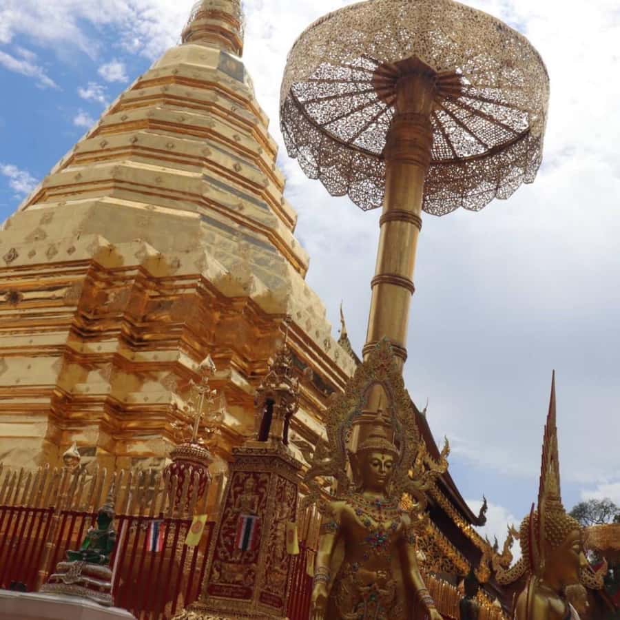 From Chiang Mai: Temples, Sticky Waterfall, and Orchid Farm - What the Transport and Timing Really Mean for You