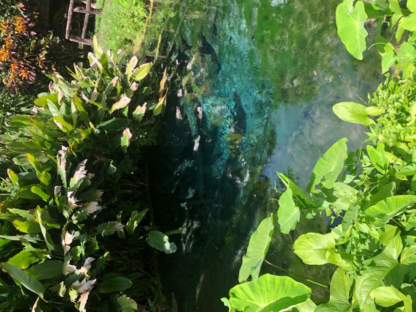 From Chiang Mai: Temples, Sticky Waterfall, and Orchid Farm - Price and Value: Why $80 Can Be a Good Deal Here
