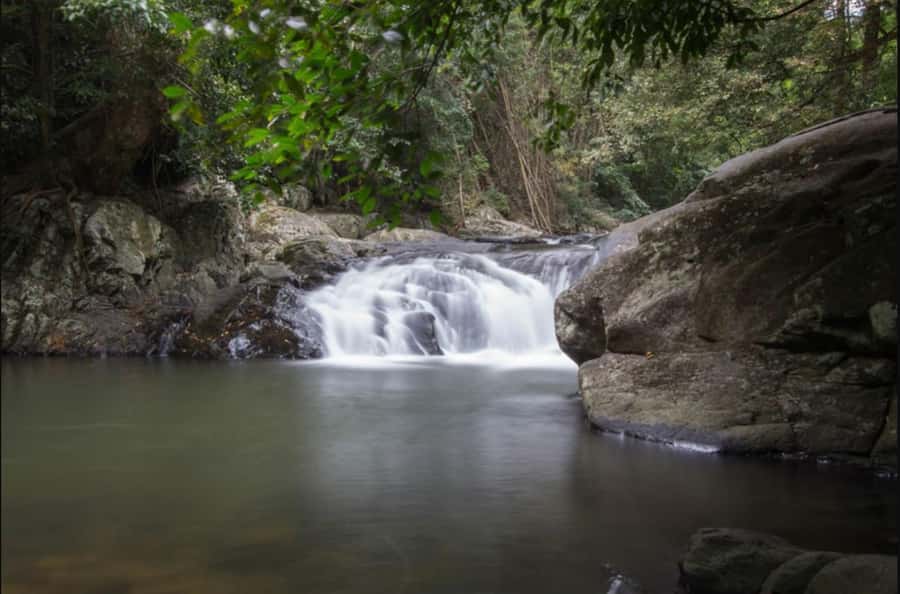 From Hua Hin: Pala U Waterfall and Huay Mongkol Temple Tour - Pala U Waterfall in Kaeng Krachan: the 1,000-year-old jungle hike reality check