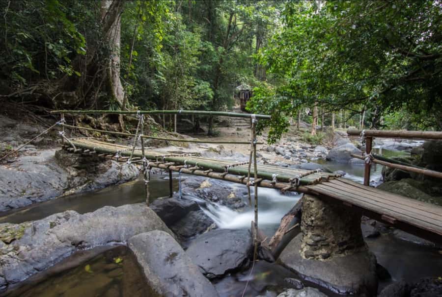 From Hua Hin: Pala U Waterfall and Huay Mongkol Temple Tour - Wildlife and rare birdwatching: what you can realistically hope for
