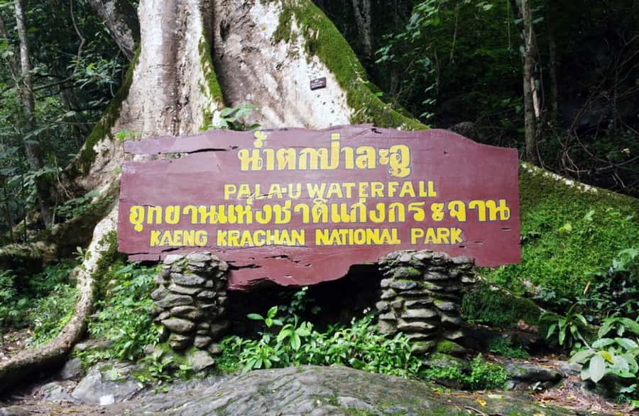 From Hua Hin: Pala U Waterfall and Huay Mongkol Temple Tour - How hard is this tour, really? Clothing, footwear, and pacing