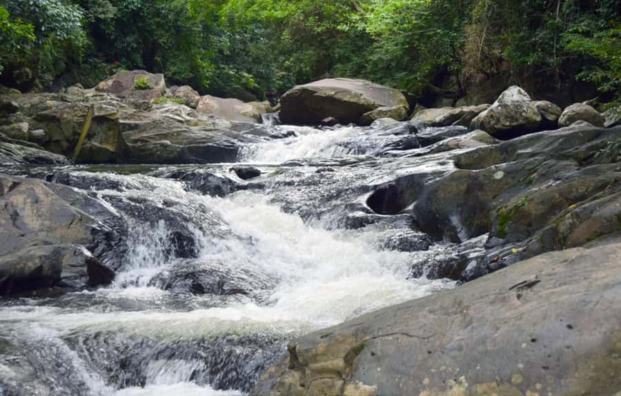 From Hua Hin: Pala U Waterfall and Huay Mongkol Temple Tour - Lunch inside the park area: simple fuel that keeps the day moving