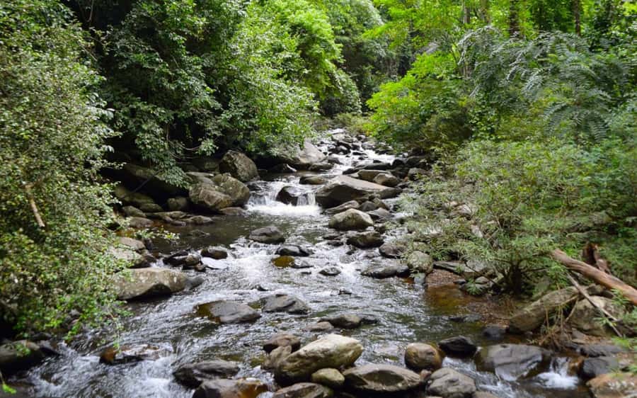 From Hua Hin: Pala U Waterfall and Huay Mongkol Temple Tour - Huay Mongkol Temple: the massive Luang Pho Thuat statue stop