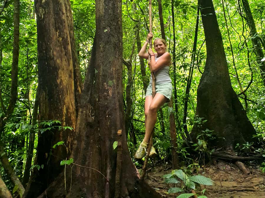 From Khao Lak : Cheow Lan Lake Day Trip : LUNCH at PHUTAWAN - Lunch at PHU TAWAN Rafthouse: Why This Is More Than Food