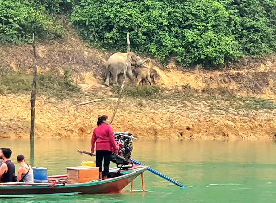 From Khao Lak : Cheow Lan Lake Day Trip : LUNCH at PHUTAWAN - Who This Tour Is For (and Who Should Skip It)