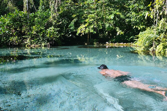 From Khao Lak : Cheow Lan Lake & Nam Rad Emerald Pool - Frog Island lunch: Thai food and time to relax (plus kayaking)