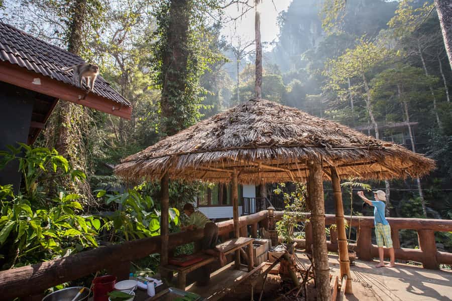 From Khao Lak: Day Trip to Khao Sok with Elephant Camp Visit - Khao Lak to Khao Sok: A Full 8-Hour Jungle Day With Pickup Included