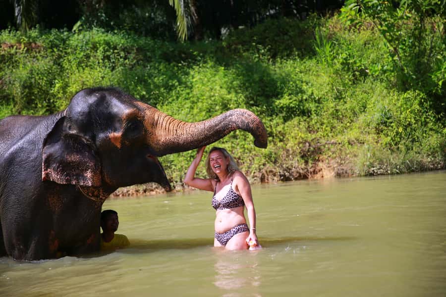 From Khao Lak: Day Trip to Khao Sok with Elephant Camp Visit - Should You Book This Khao Lak to Khao Sok + Elephant Camp Day Trip?