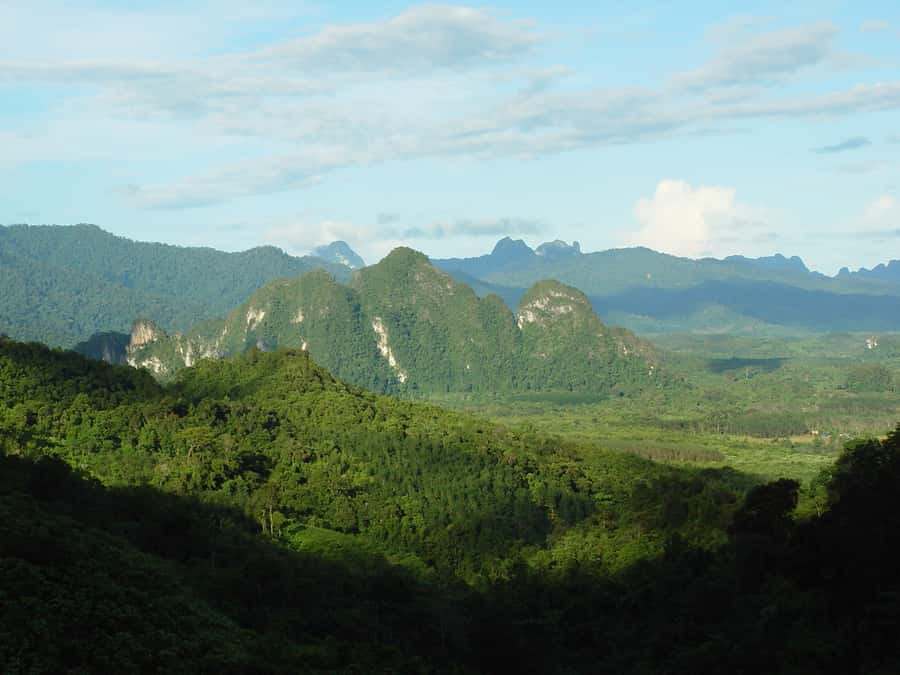 From Khao Lak: Day Trip to Khao Sok with Elephant Camp Visit - Jungle River Canoeing: Limestone Views and Wildlife Moments