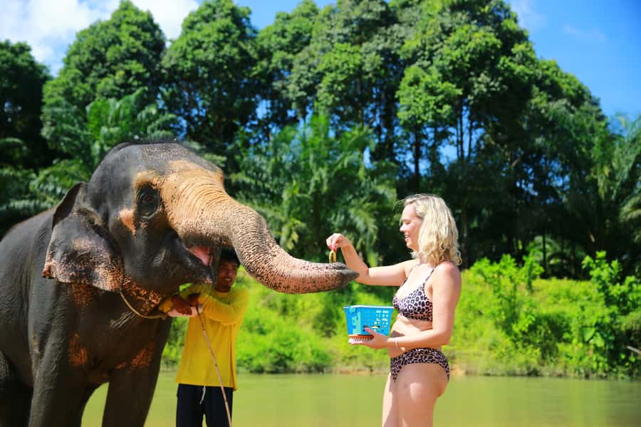 From Khao Lak: Day Trip to Khao Sok with Elephant Camp Visit - Rain or Shine: How to Pack for a Wet, Jungle-Friendly Day