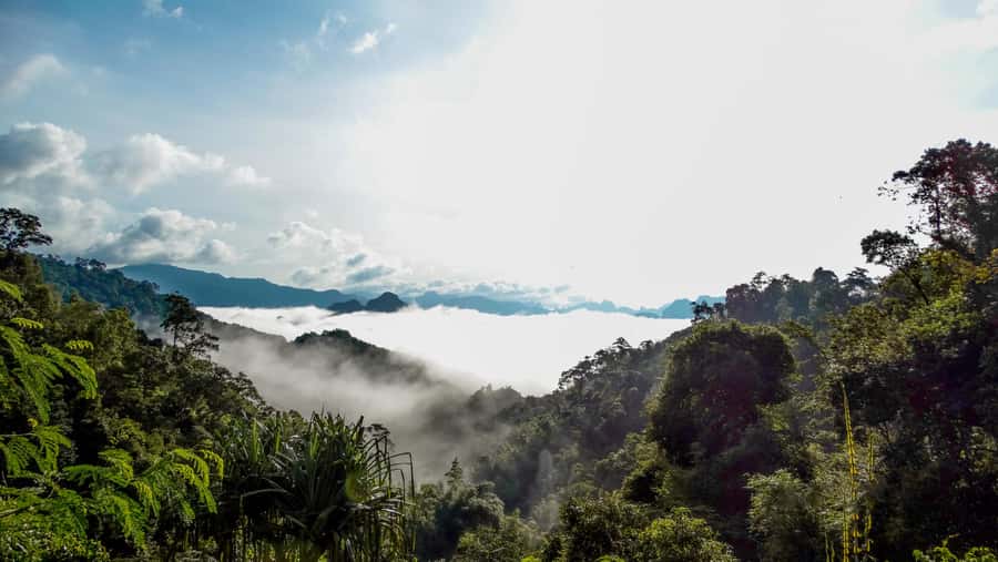 From Khao Lak: Day Trip to Khao Sok with Elephant Camp Visit - Guide Power: The Difference Between Good and Great Days