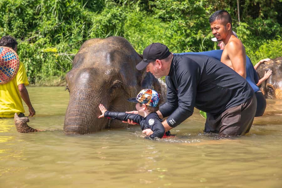 From Khao Lak: Day Trip to Khao Sok with Elephant Camp Visit - The Treehouse Resort Thai Buffet Lunch: Where the Day Gets Comfortable