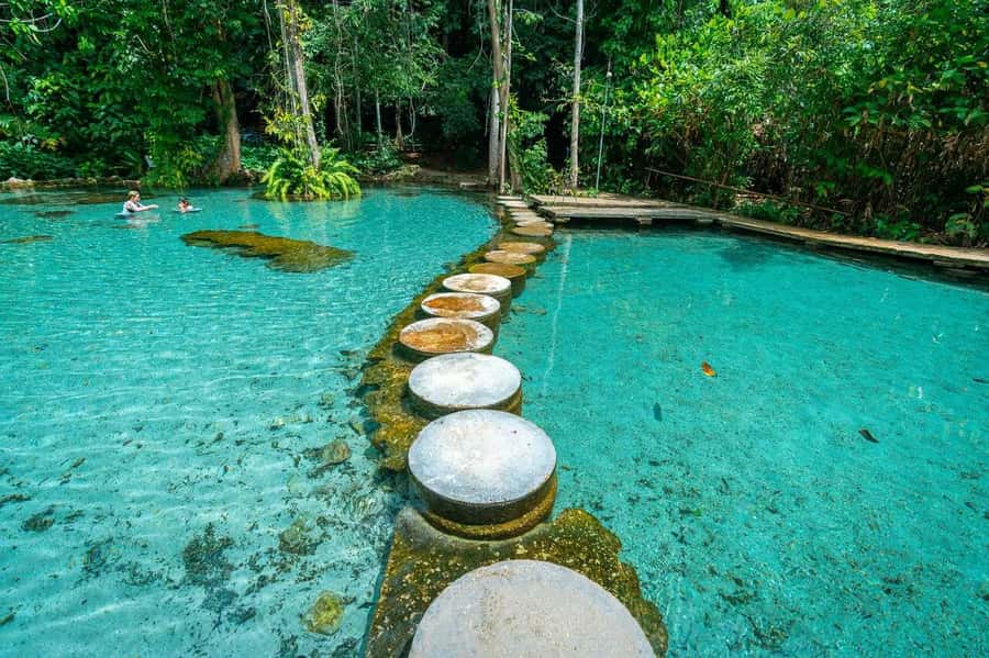 From Khao Lak: Eco Excursion at Cheow Lan Lake /w Lunch - Price and value: what you’re really paying for at $137 per person