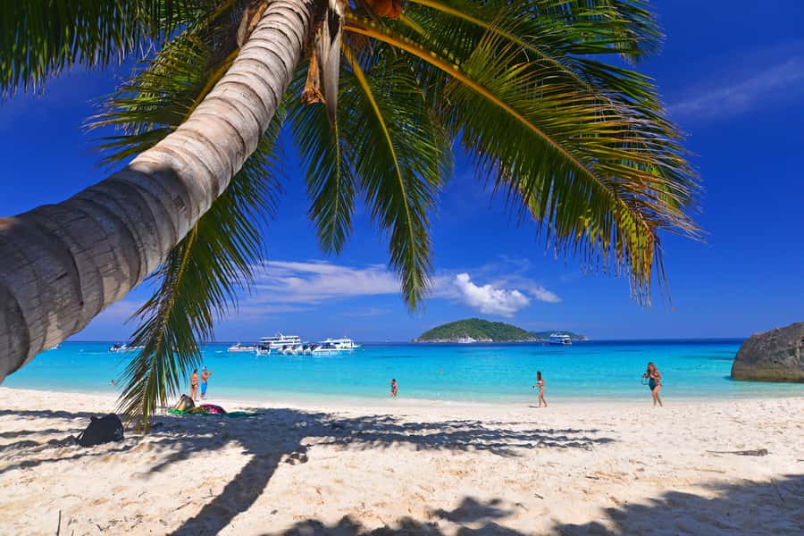 From Khao Lak: Full-Day Snorkeling in the Similan Islands - The crowd reality on a top-name island day