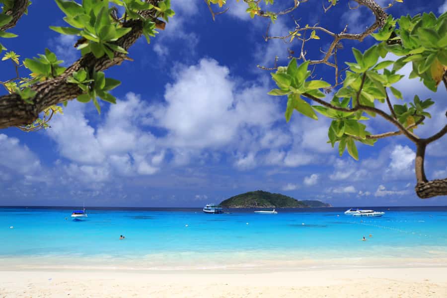 From Khao Lak: Full-Day Snorkeling in the Similan Islands - Island 4 snorkeling first: why the morning stop matters
